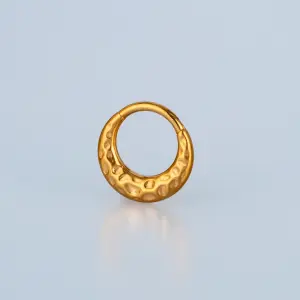 Piercing Titanyum Segment Halka