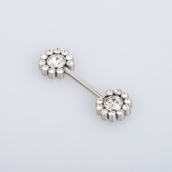 Piercing Göğüs