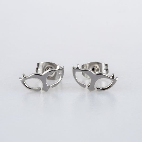 Steel Earrings Package