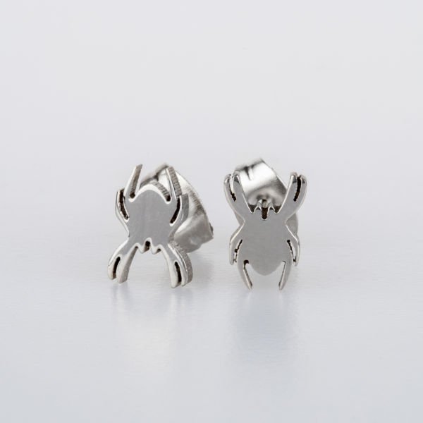 Steel Earrings Package