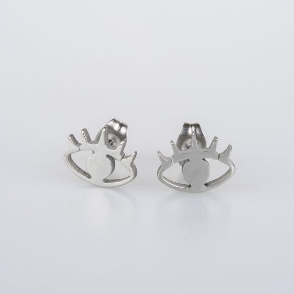 Steel Earrings Package