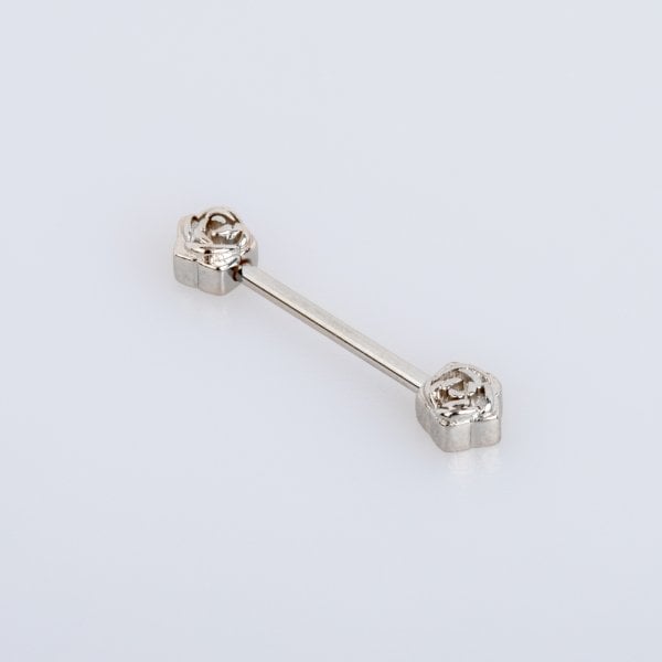 Piercing Göğüs
