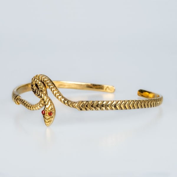 Bicep Band Snake