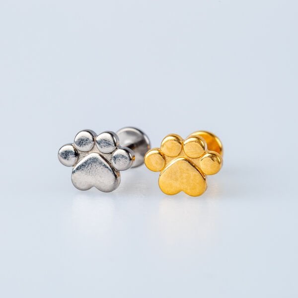 ثقب التيتانيوم الزنمة باتي