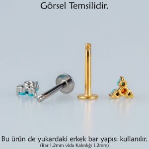 Piercing Tragus Helix Yılan