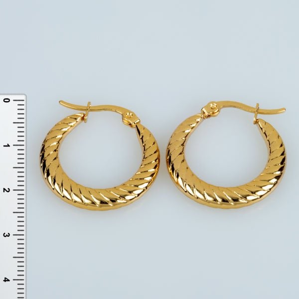 Steel Earring Pair