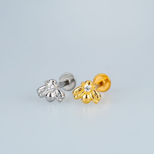 Piercing Tragus Arı