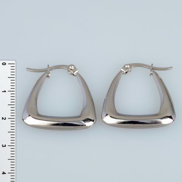 Steel Earring Pair