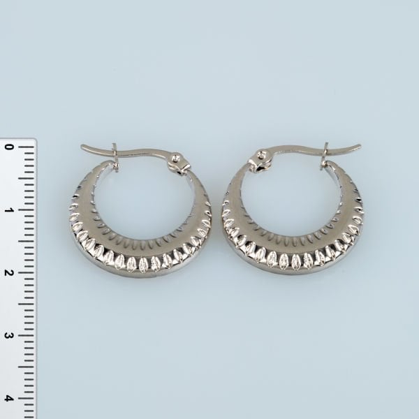 Steel Earring Pair