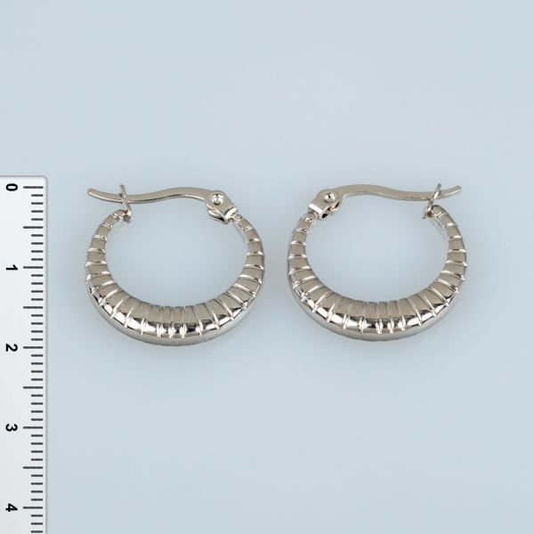 Steel Earring Pair