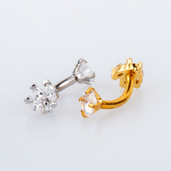 Piercing Rook
