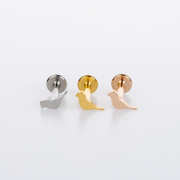 Piercing Çelik Tragus Kuş