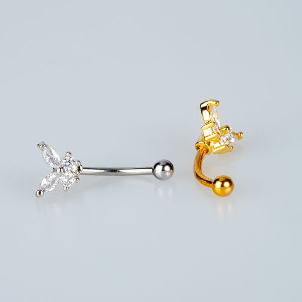 ثقب فراشة الغراب الصفراء