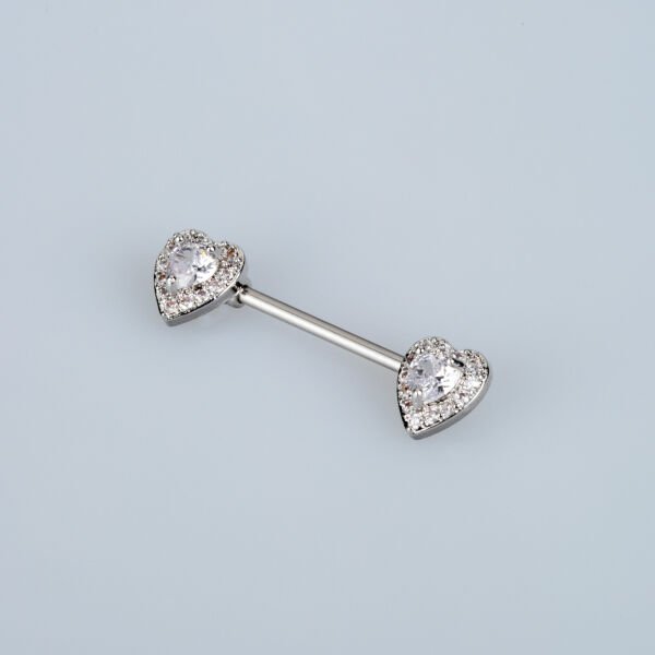 Piercing Göğüs