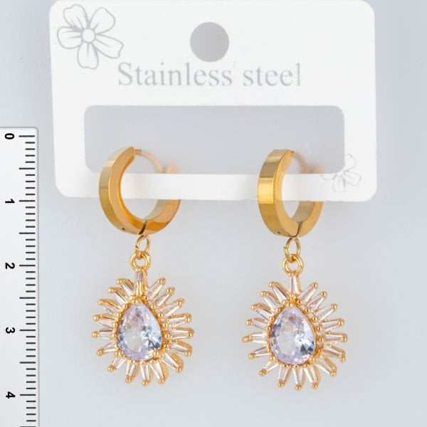 Steel Earrings - 1 Pair
