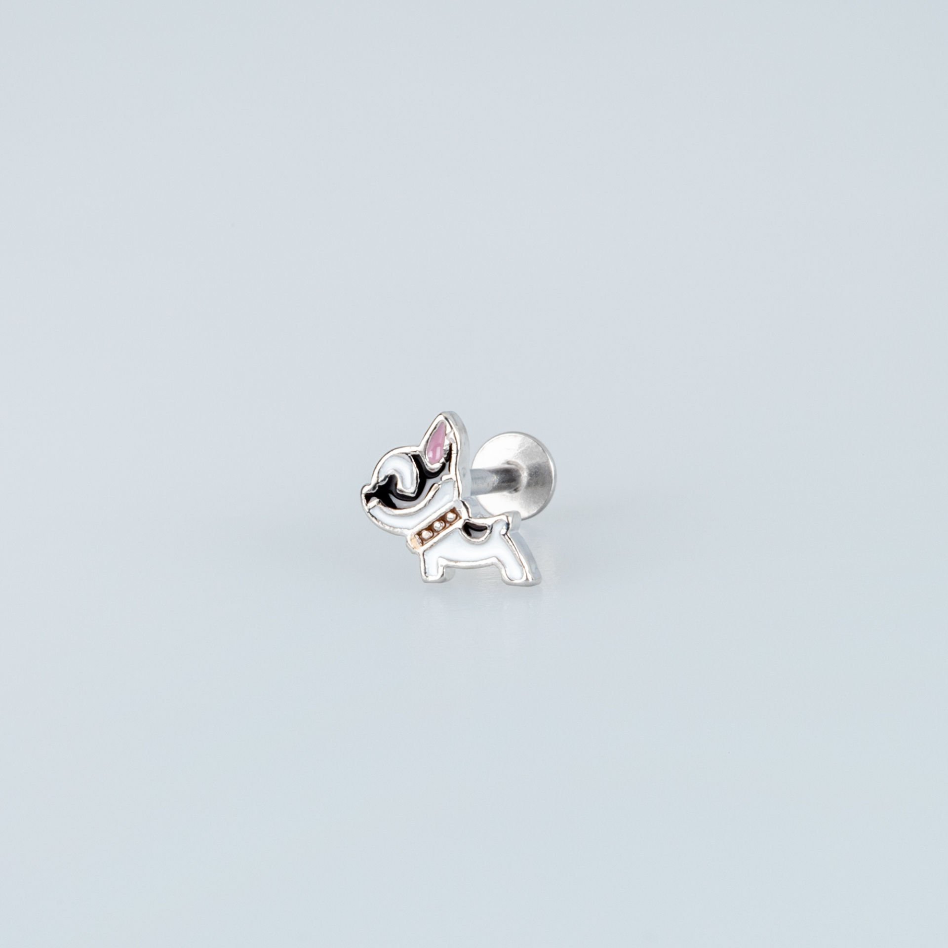 Piercing Tragus Köpek