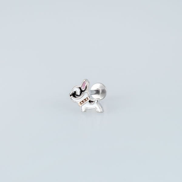 ثقب كلب الزنمة