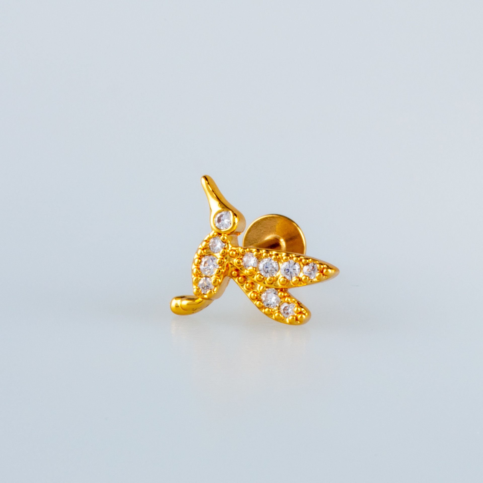 Piercing Tragus Kuş
