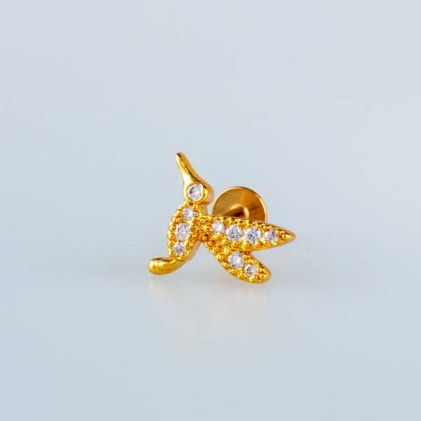 Piercing Tragus Kuş