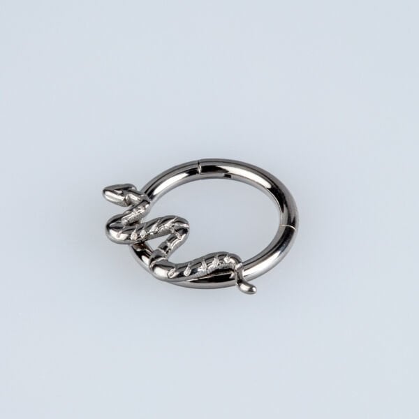Piercing Titanium Ring