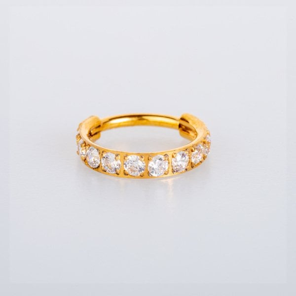 Piercing Titanyum  Halka