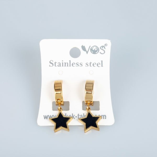 Steel Earrings - Pair