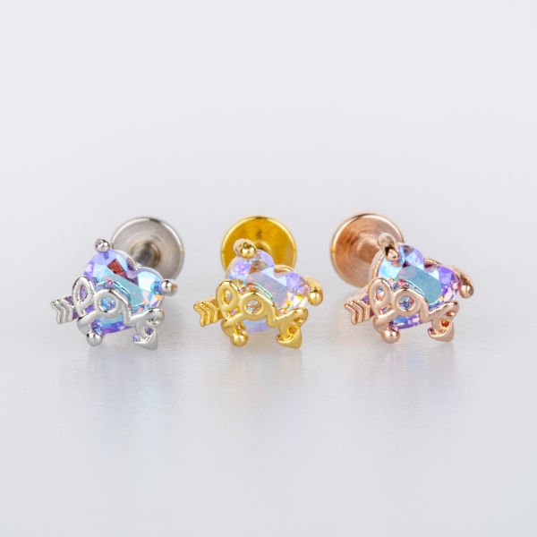 Piercing Tragus Kalp