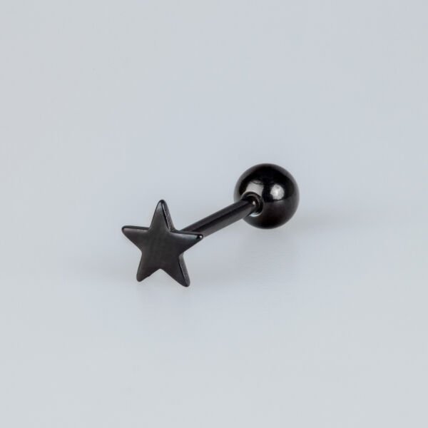 Piercing Yıldız Dİl