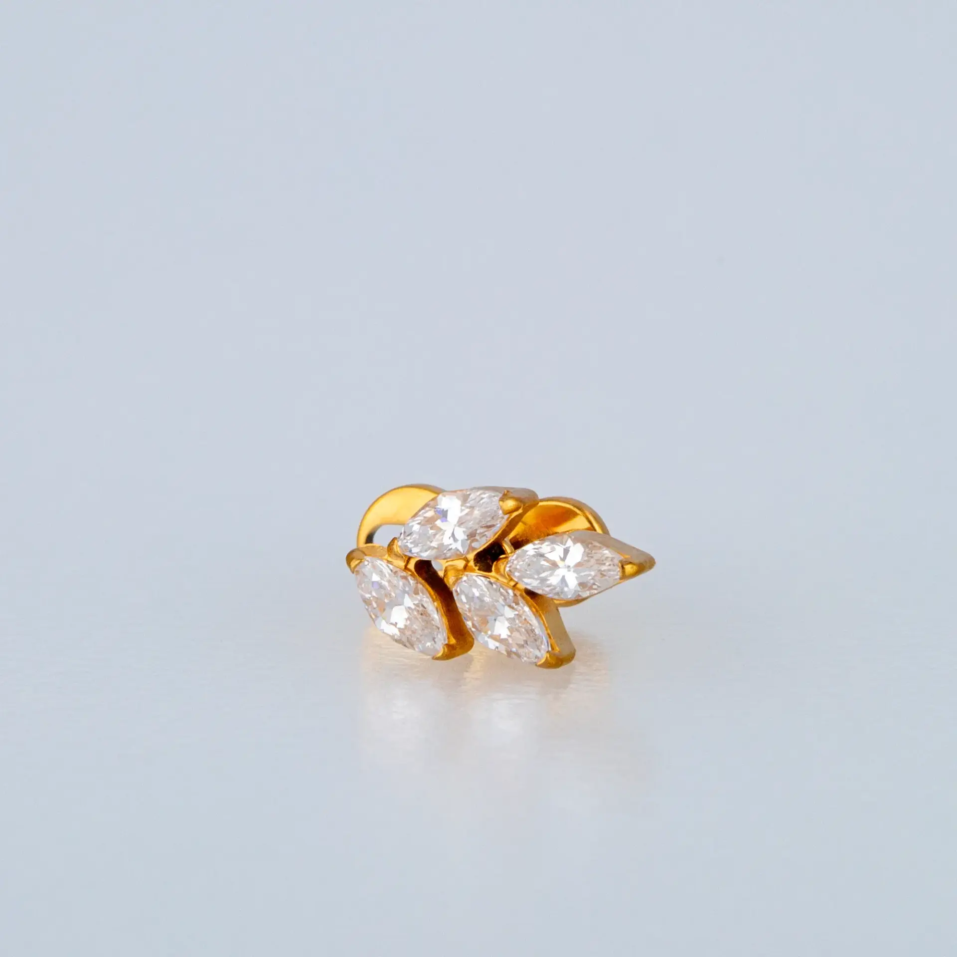 Piercing Titanyum Dermal Yaprak