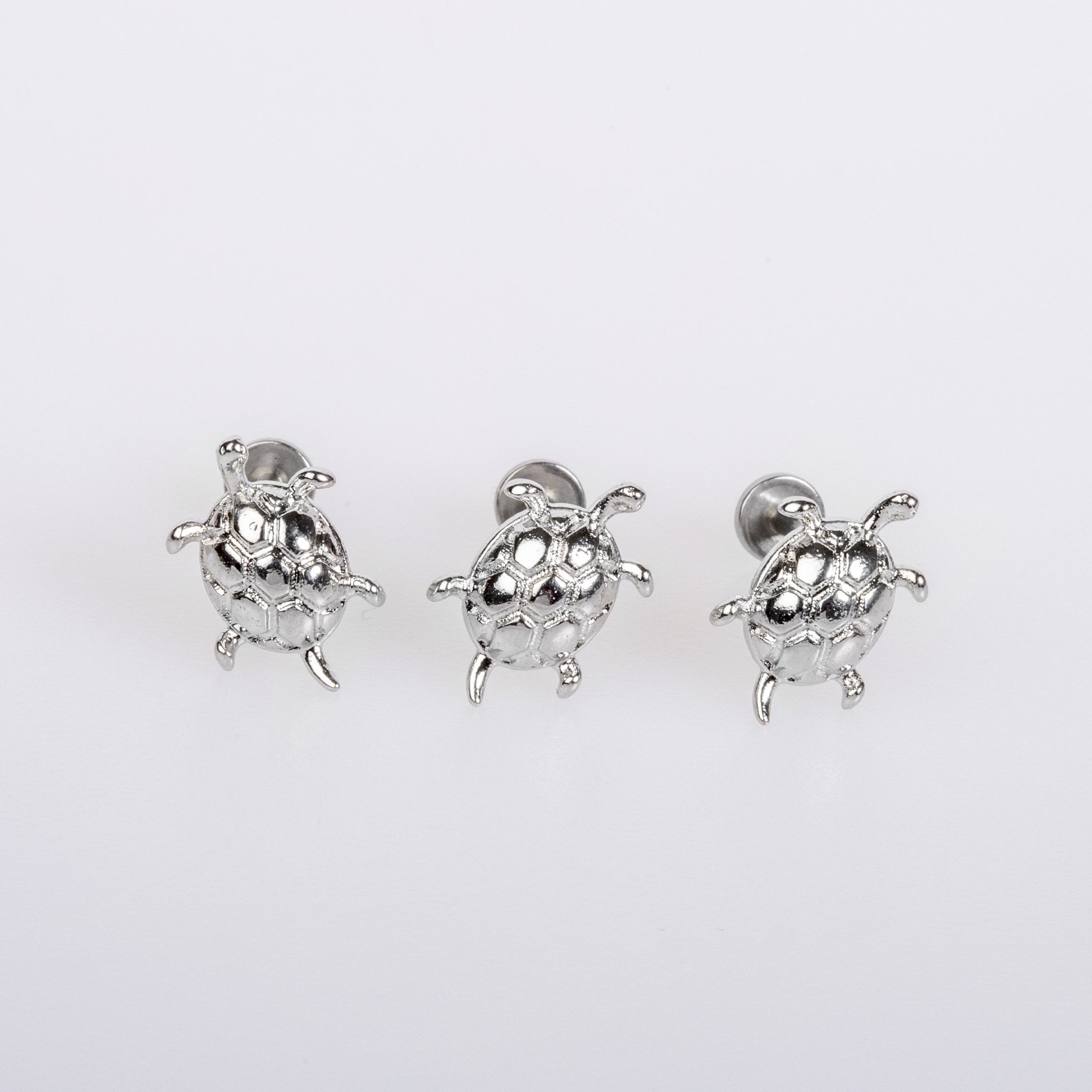 Piercing Tragus Kaplumbağa