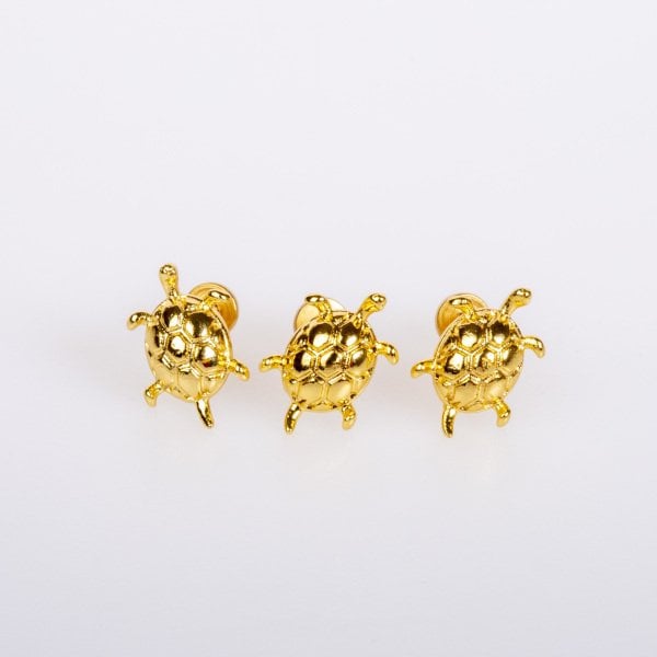 Piercing Tragus
