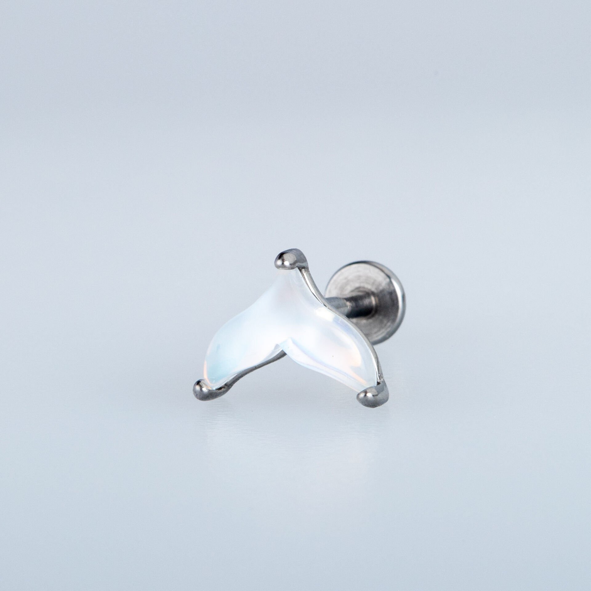 Piercing Çelik Tragus Helix Kuyruk